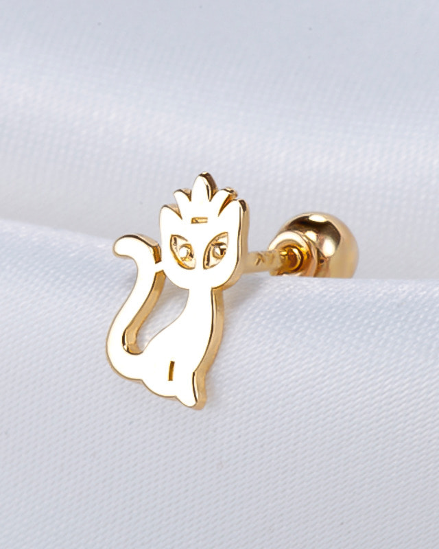 14K º§¶ó¾Ö´Ï¸Ö ÇǾî½Ì(2Á¾ÅÃ1)