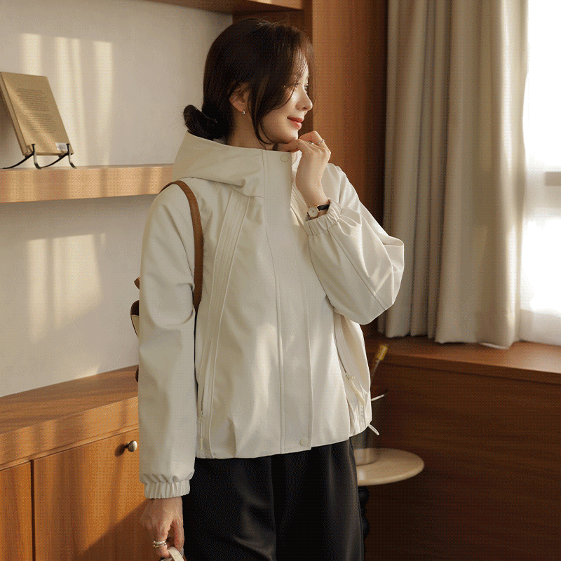 ��ǰ�̹���